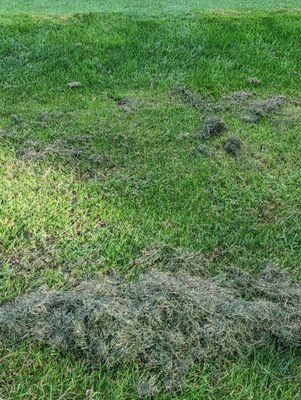 Willow Creek Golf Club