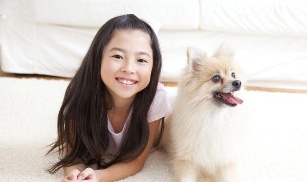 South Central Pet Care