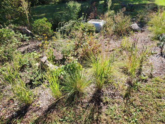 Canton Bicentennial Rain Garden