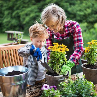 John Allen - Farmers Insurance