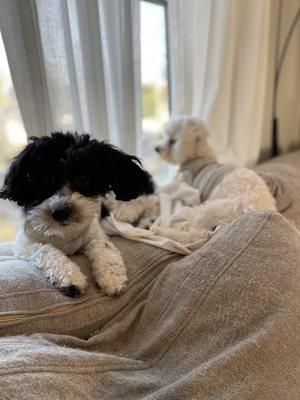 Kathy’s Pet Sitting and Animal Care