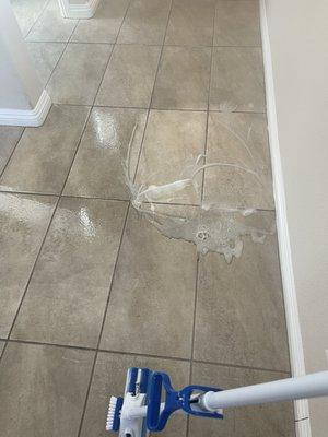 Monarch Property Management & Realty