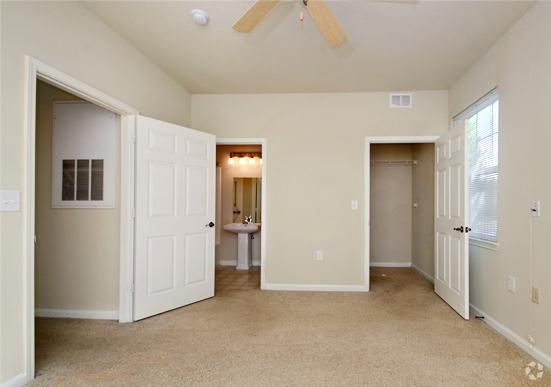 Vineyards Browns Mill