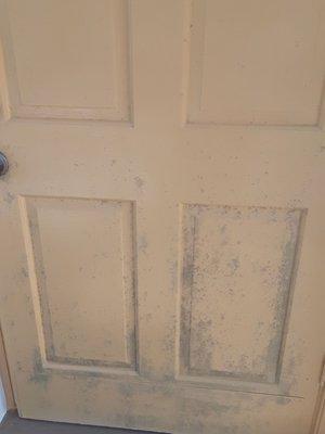 Century Management Consultants