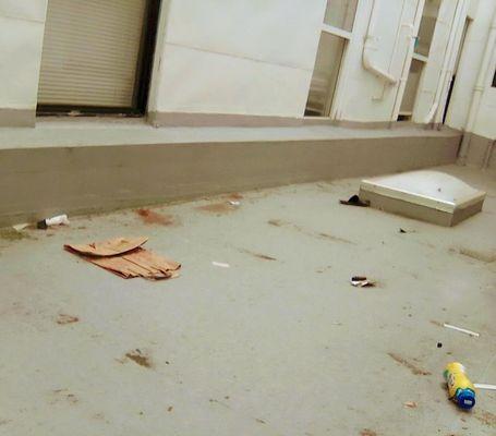 Courtyard full of trash, weed, dust & hair that 28 windows are facing