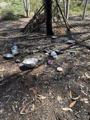 Kidwings Nature School