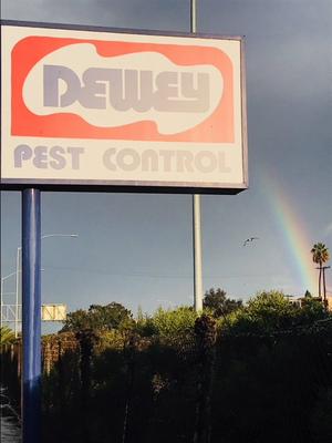 Dewey Pest & Termite