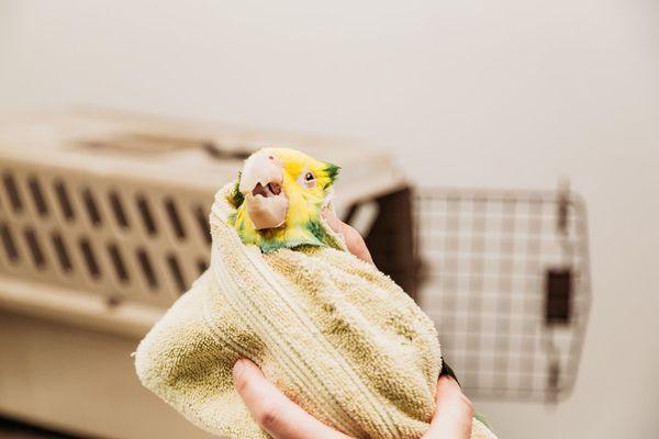 Eubank Animal Clinic