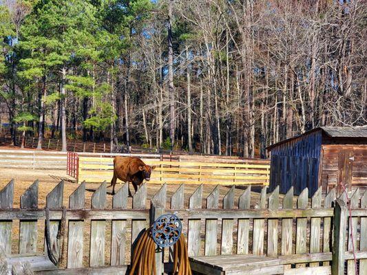 Meadow Farm Museum at Crump Park