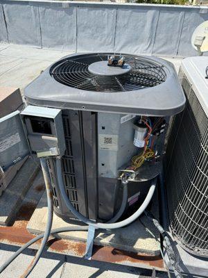 Bernardino & Martin’s