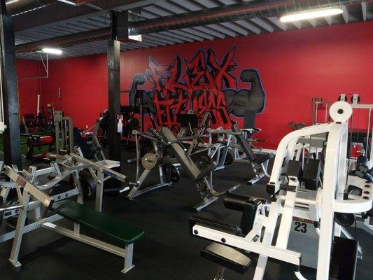 Flex Fitness Gym