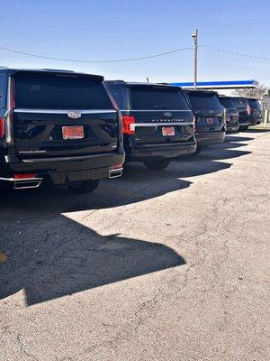 Grand Arrival Limousine