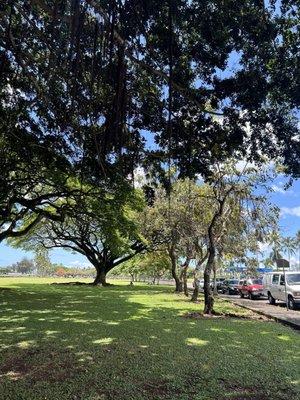 Mo’oheau Park