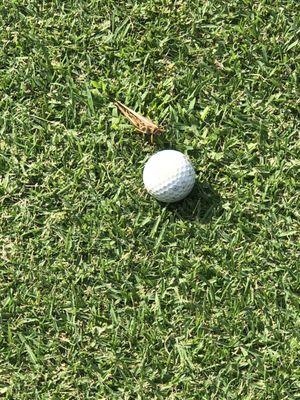 Wrenwoods Golf Course