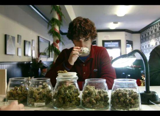 Weed