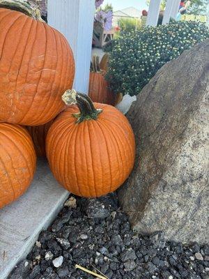 Amanda's Bakeshop & Farm Market