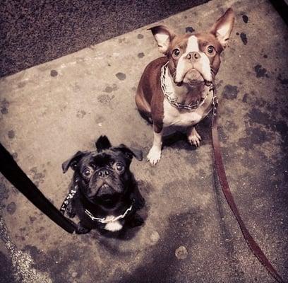 Norman and Franco of the Upper East Side