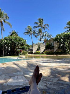 Aoao the Coconut Plantation