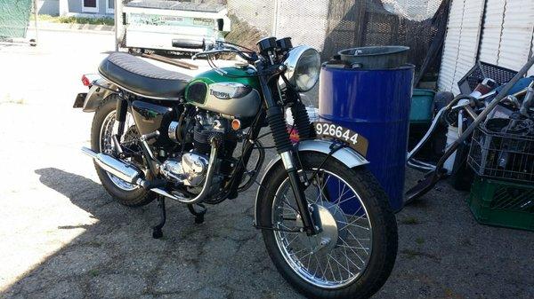Bbc Triumph