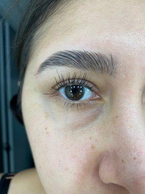 2 months update: eyelashes are still short thanks to Sara cutting them off. These brows were fixed by SILK EYEBROWS IN POMONA.