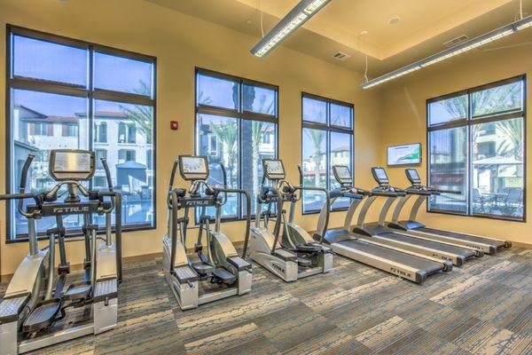 Vineyards at Paseo Del Sol