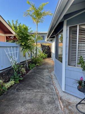 Eds Exterior Surface Cleaning