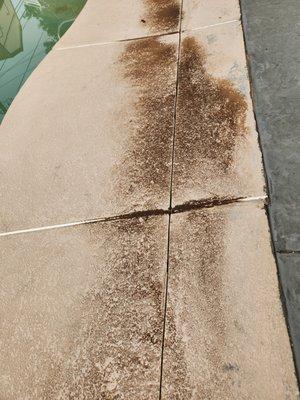 ASP - America's Swimming Pool Company of El Paso