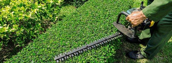 Action James Lawn Service