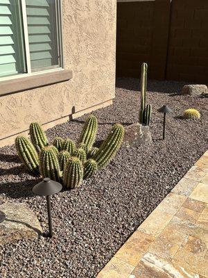 New Look landscape Designs