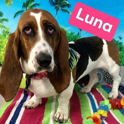 Cuteness overload alert