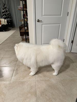 Sumter County Animal Hospital