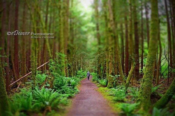 EDeaver Photography & Digital Creations