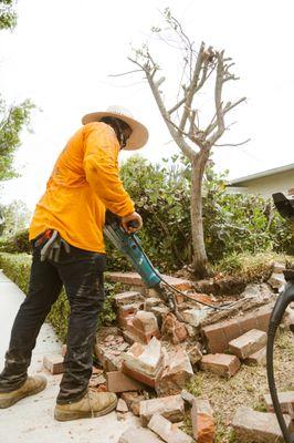 TierraVista Landscaping