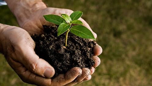 Tip Top Tree Service