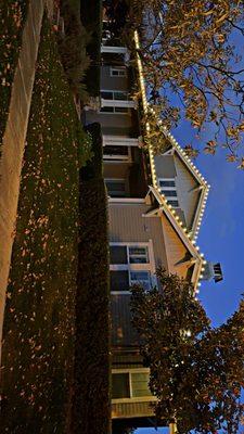 Custom cut warm white C9 LED