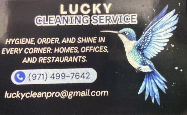 Lucky Cleaning Service