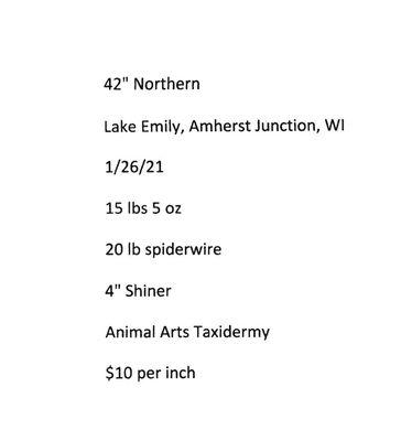 Animal Arts Taxidermy