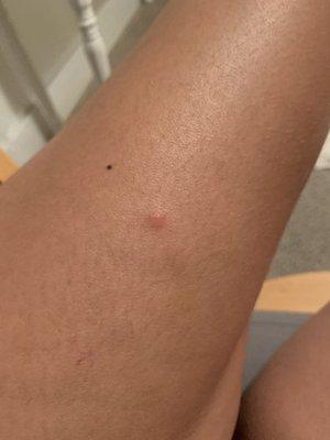 Richard's Motel Family of Lodgings