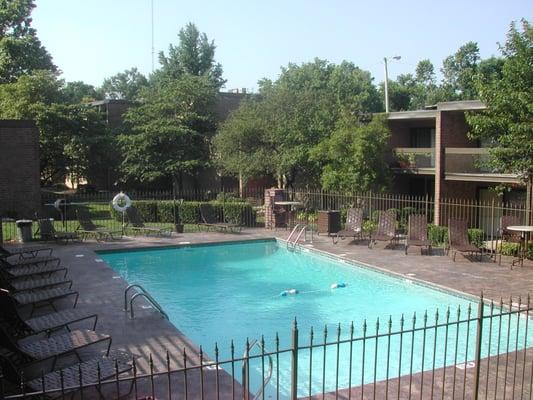 Renovated Saltwater Pool