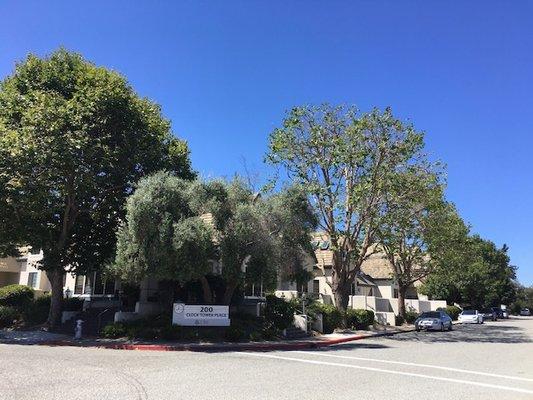 Jocelyn L Lagier, MS CCC-SLP