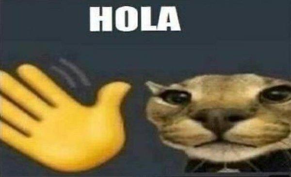 Cat sayin "hola". That mean was good g