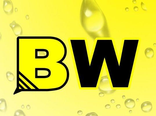 Bee Wash Mobile Detailing