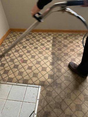 Deep steam carpet cleaning!