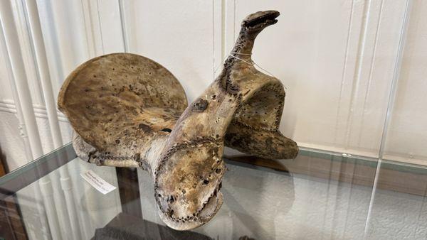 Cowboy Arts & Gear Museum