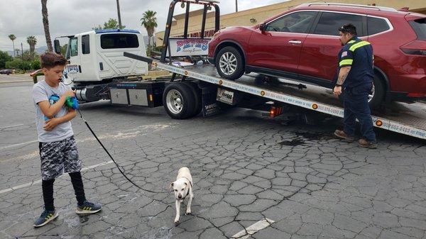 Kid n dog were happy to be helped and taken off the road!