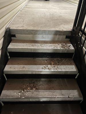 The Columns At Pilgrim Mill