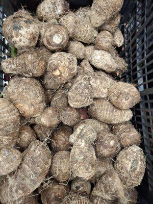 Some sort of potatoes different varieties