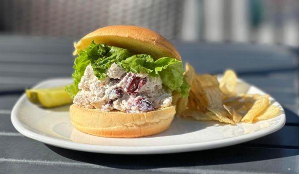 Chicken salad lunch special!