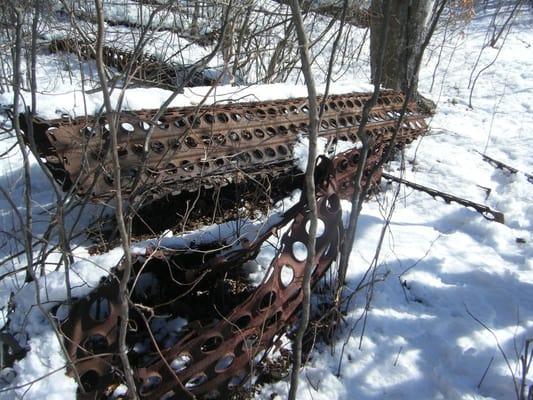 Great Swamp Management Area