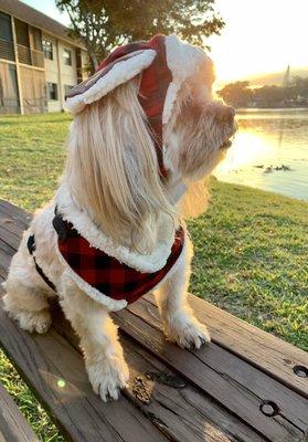 Villas of Carriage Hills